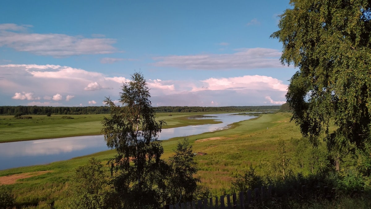 Ievads veselīgā dzīvesveidā